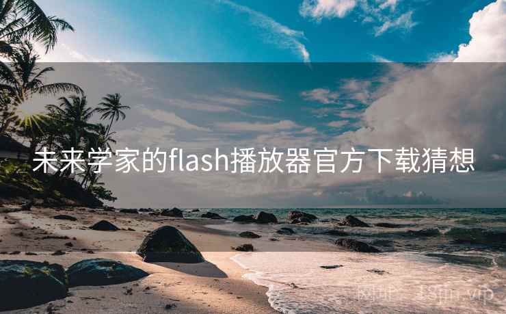 未来学家的flash播放器官方下载猜想